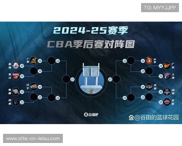 背景分析：CBA联赛关于“季后赛名额附加赛”规则可能的微调讨论。